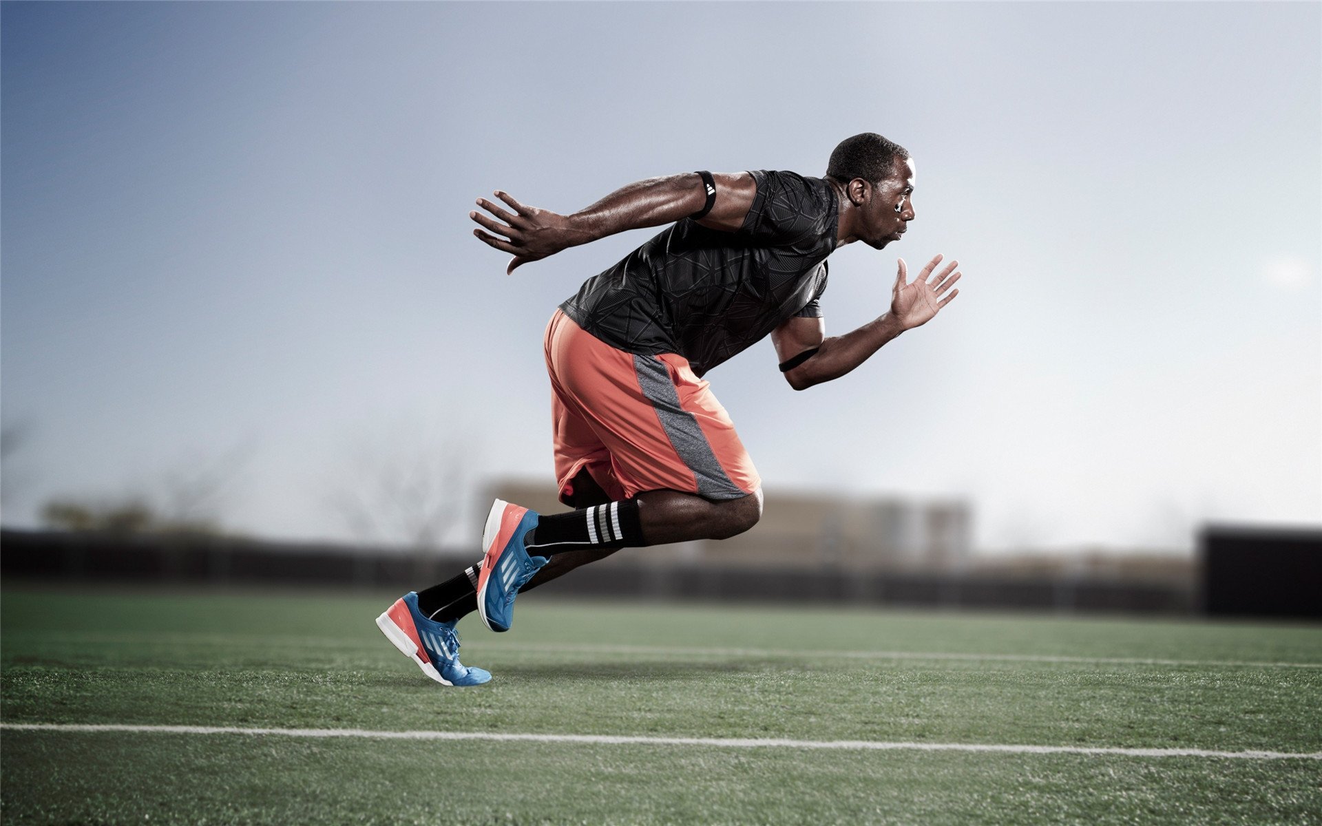 荷兰女队蝶泳速度惊艳全场,荷兰女游泳运动员